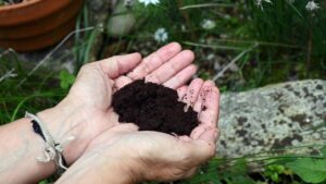 Do Lixo ao Luxo em 5 Minutos