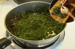 Saiba como fazer o Chá e conheça os benefícios!