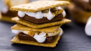 Smores caseiros de marshmallow com chocolate em biscoitos