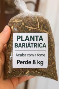 Plantas “Bariátricas”: o que realmente são, como funcionam e quais cuidados você precisa ter