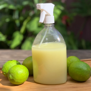 Desinfetante Caseiro Cheiroso em 5 Minutos com Vinagre e Limão