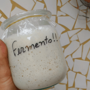 Fermento Caseiro do Zero em 5 Dias com Dona Benta