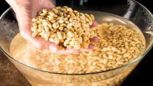 entenda por que fazer antes do cozimento