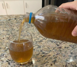 Água de Louro Para Jejum: Como Fazer e Benefícios