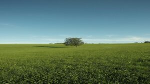 Investir em Ações para Iniciantes Comece a Lucrar