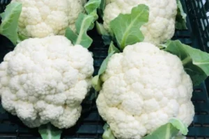 O Que Médicos Guardavam a Sete Chaves: Descubra o Que a Couve-Flor FAZ no Seu Corpo! Receita Rápida e Deliciosa para uma Vida Mais Leve