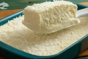 A Sobremesa Gelada de Coco Cremosa que Desaparece da Geladeira: Receita Rápida, Fácil e Irresistível para Refrescar o Verão!