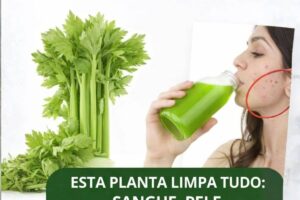 Suco de Aipo em Jejum Poderoso e Refrescante que Pode Transformar Suas Manhãs
