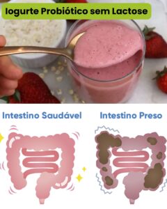 O que é Iogurte Natural Probiótico Sem Lactose e Qual a Sua Relevância?