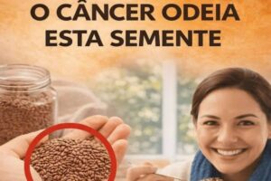 O Câncer “Odeia” Estas 6 Sementes: Conheça Alimentos Naturais que Ajudam a Proteger o Organismo