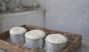 A Avó Palmira ensina a fazer queijo fresco que fica uma perdição