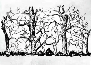 O primeiro animal que você vê revela algo incrível sobre a sua personalidade.