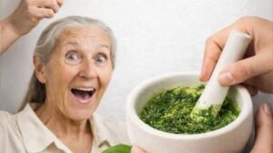 Folha de graviola, a folha que DESTRÓI as células cancerígenas