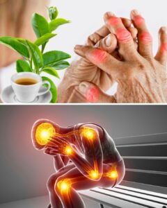 Chá para Tirar Dor e Desinflamar Articulações: Receita Natural e Fácil