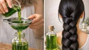 Óleo de Aloe Vera Caseiro Poderoso: A Receitinha Natural que Pode Acelerar o Crescimento do Cabelo
