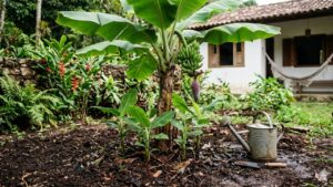 Fruta conhecida como “botox natural” é uma das mais fáceis de plantar: veja as dicas do Receitas de Peso para ter seu quintal recheado delas