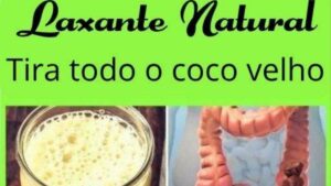 Poderoso Laxante Natural que Funciona de Verdade e Ainda É Delicioso (Você Vai Querer Fazer Sempre!)