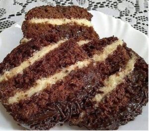 Quando misturei chocolate com coco saiu um bolo tão molhadinho que virou o preferido de todos aqui em casa