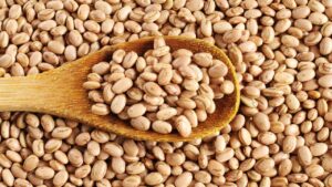 Feijão não cai bem? Veja as alternativas para manter a saúde no prato